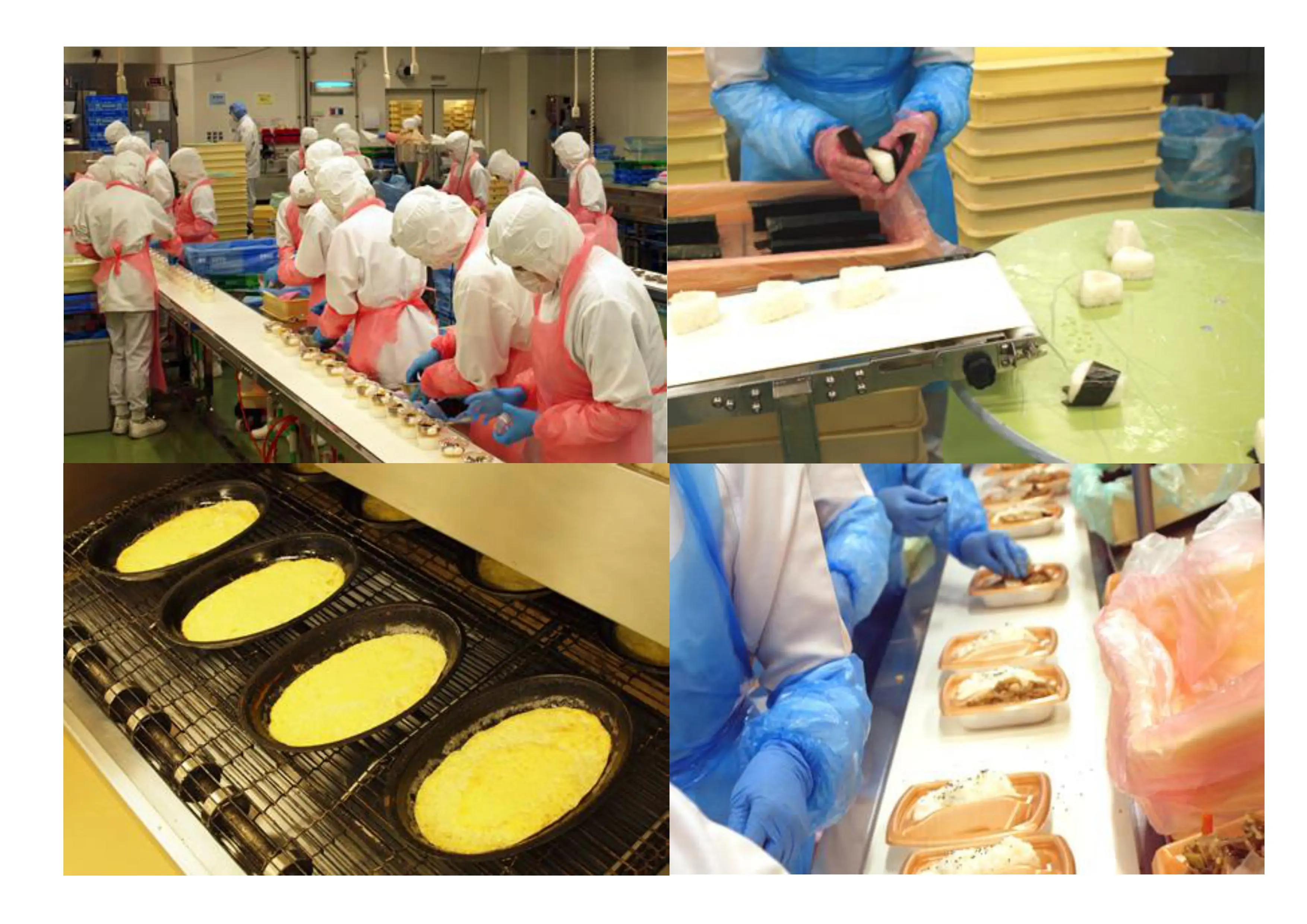 Food processing line machinery